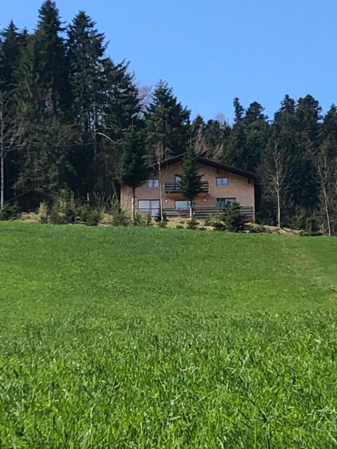Ferienwohnung am Waldrand von Egg /Bregenzer Wald Exterior foto